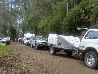 Convoy at Ocean Views Lookout in Errinundra NP