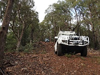 Enjoying a descent on Tingaringy Track