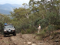 Climbing Tingaringy Track