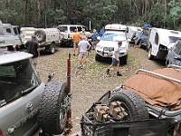 Convoy gets ready for Errinundra walk