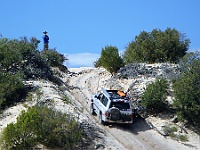 Kloppy climbs the Ross Springs dune in the Big Desert