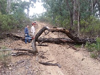 Mike & Heidi assess the tree removal on Lees Track