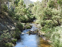 Convoy heads back to camp after crossing the Tambo River