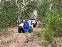 Convoy waits for the removal of a fallen tree