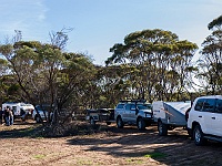 Convoy in Wyperfeld NP