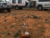 Mr Hook enjoys the surrounds in Wyperfeld NP