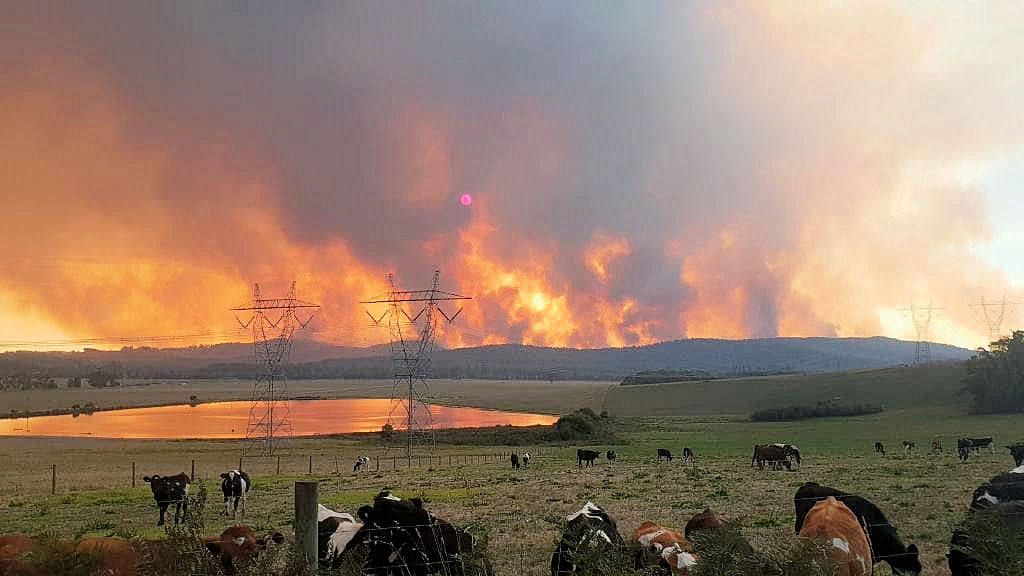 BushfireReliefAssistance pic2a