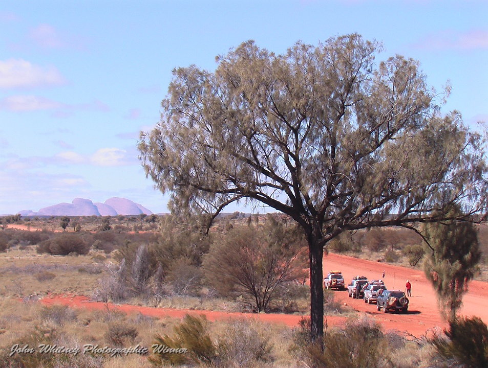 2011 Convoy at Kata Juta Photo by Liz Mills