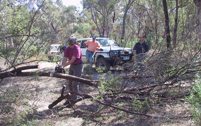01-Trip Leader Heidi clears the Laurie Track