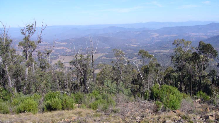 07-Views from the Laurie Track on Tingaringy