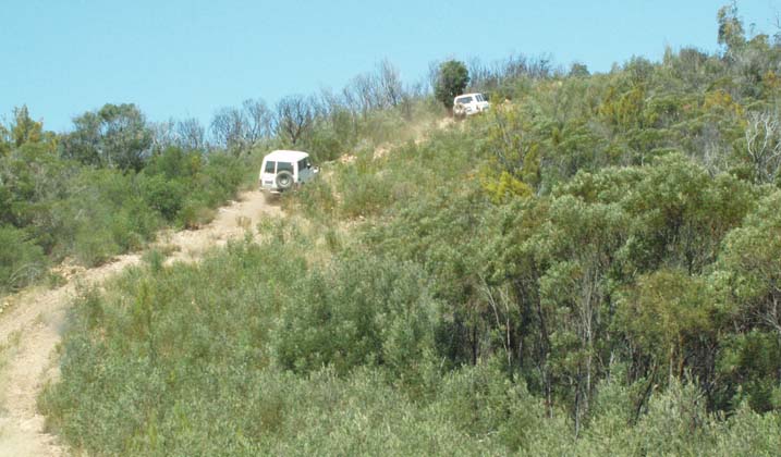 18-Zebra & Rhino climb the Laurie Track