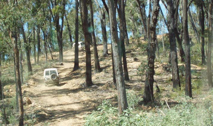 19-Zebra & Rhino enjoy the shade of the trees