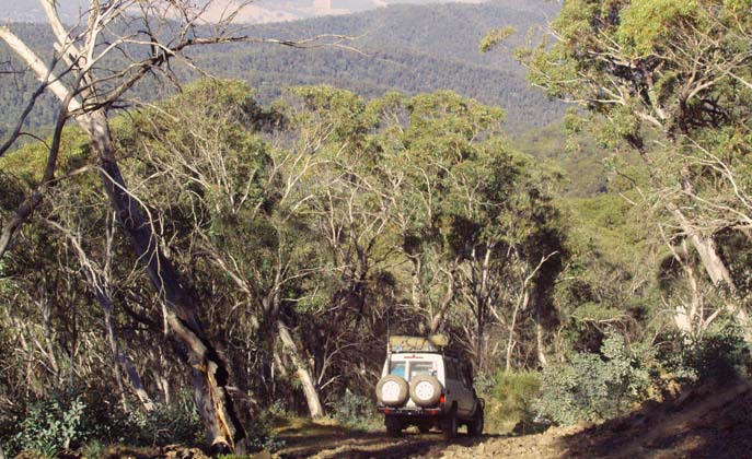 20-Big John descends the Tingaringy Track