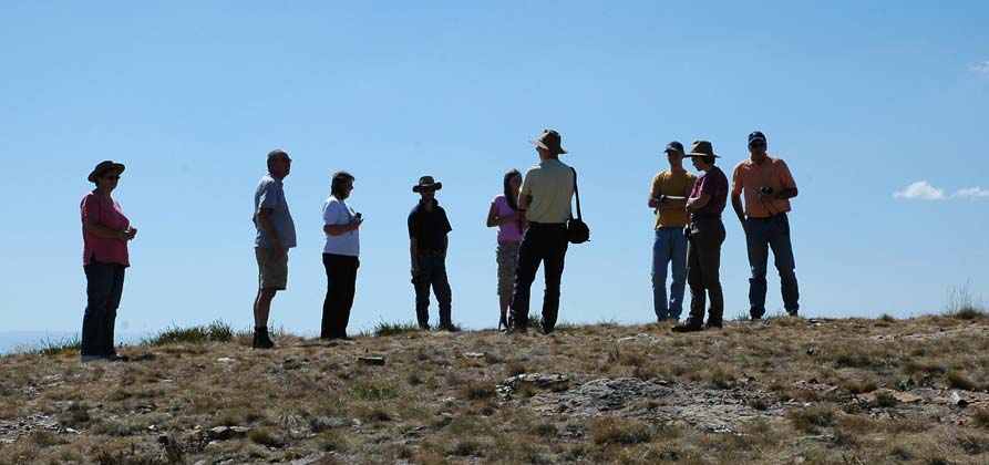 27-Convoy takes in the views from Mt Tingaringy