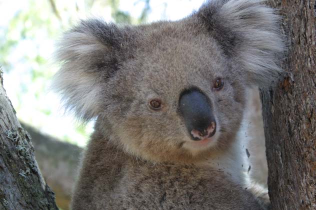 24-I'm tired  out watching the big snatch-Good night!