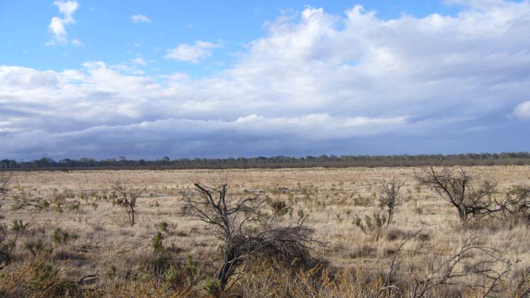 06-Dry bed of Lake Albacutya