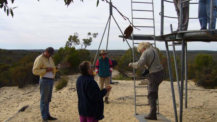 17-John, Joy & Heidi watch Sue climb the Hensley lookout on the Border Track