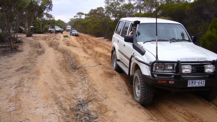 20-Zebra waits for Moneyeater to clear the boghole on the Border Track