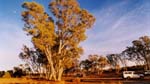 27-Sunrise at Red Gums