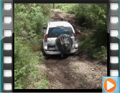 02-Pioneer shows us the way across a slippery creek