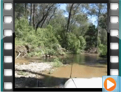 03-Rob drives along Dolodrook Track