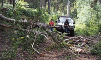 Clearing Mt Stawell Track
