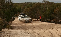 Merlin makes the sand fly in Wyperfeld NP