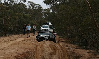 Zebra crawls through the Border Track Bog Holes