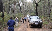 Convoy collects some firewood on Dane Track