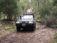 Michael arrives at our lunch spot on the Ingeegoodbee river