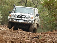 Marshall climbs McKenzies Track