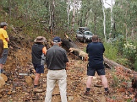 Convoy works out a solution for removing the fallen tree