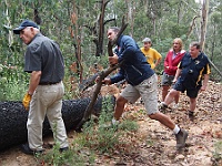 Trajco helps Rick roll a fallen tree off the track