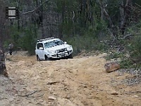 Philharmonia-Rhino-bigJohn-climb-Hill