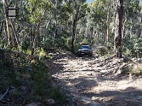 Manky-Climbs-Cobberas-Trail