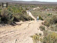 BuffieAttemptsDune2ndTime