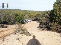 DingoEnjoysWyperfeldNP