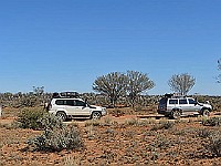 DSCN3716-Along-the-track-near-Hamiton-Station-WEB