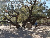 Arriving at Burke & Wills grave site at the Dig Tree