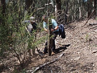 Rob & Bernie reposition a fallen fence post on the fenceline near the Terip Road gate