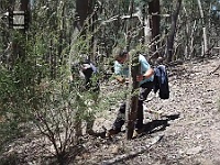 WorkingNearTeripRoad