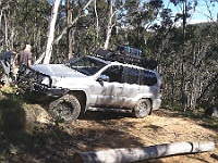 Silverado checks out the next tree diversion