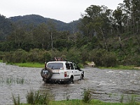 Zebra crosses the Snowy