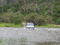 Zebra returns across the Snowy due to a fast current upstream