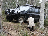 Panda drives through the tree diversion trying to avoid a tree root