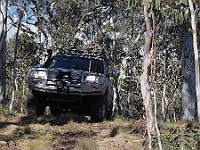 Kloppy enjoys the Cobberas Track views