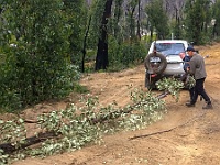 Laurie & Marcel clear parts of the (MVO) Victoria Range Fireline