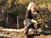 May 2015 - 10th Anniversary Yarck Memorial Garden