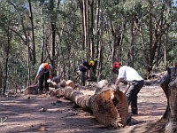 Oct 2015 - Chainsaw course at Yarck
