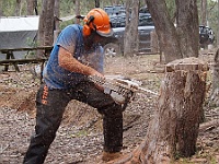 Oct 2015 - Chainsaw course at Yarck